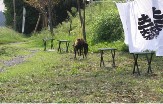image-20110829214138.png