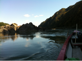 image-20111126084134.png
