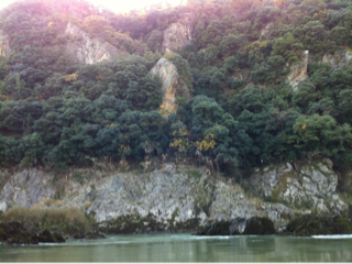 image-20111127000615.png