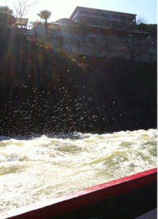 image-20111127072013.png