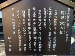 image-20111215225530.png