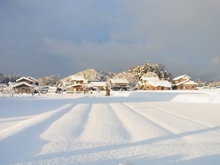 RIMG0042.JPG